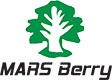 MARS Berry Logo